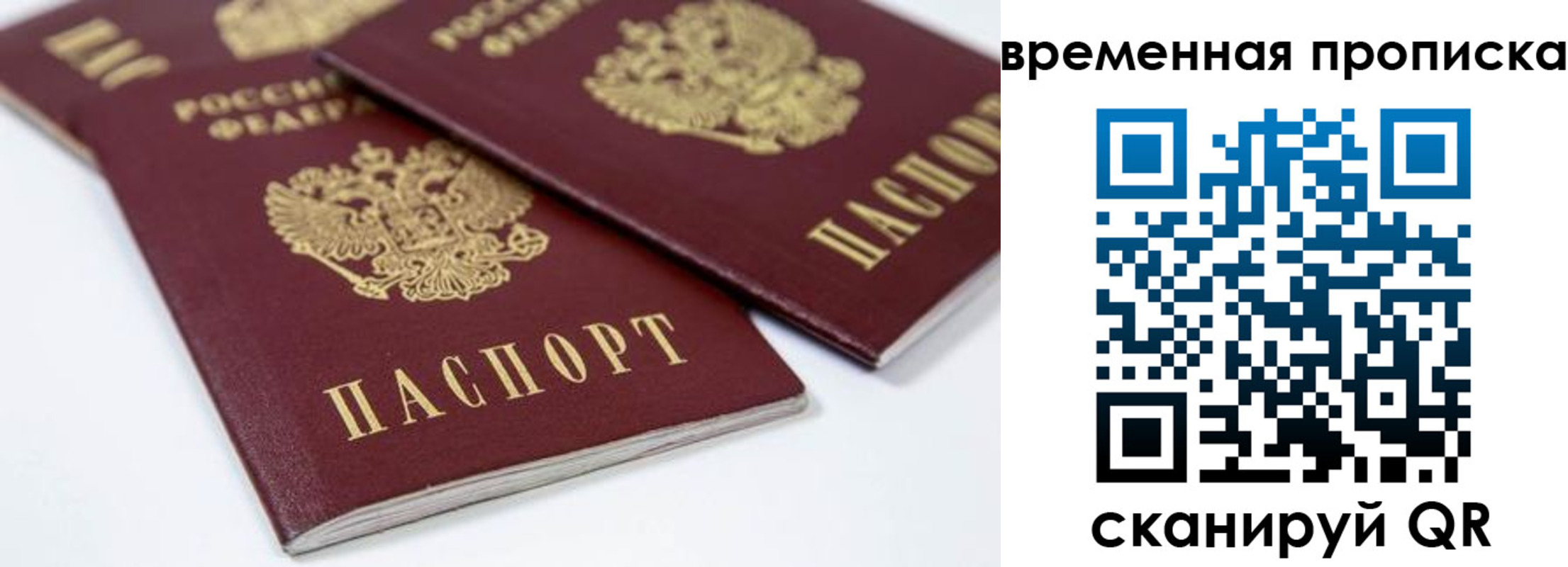 прописка для школы в Топках